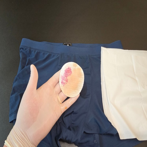 정액 검출 시약 흡착지 6회분 검사