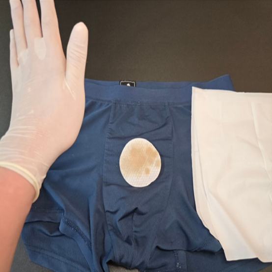 정액 검출 시약 흡착지 4회분 검사